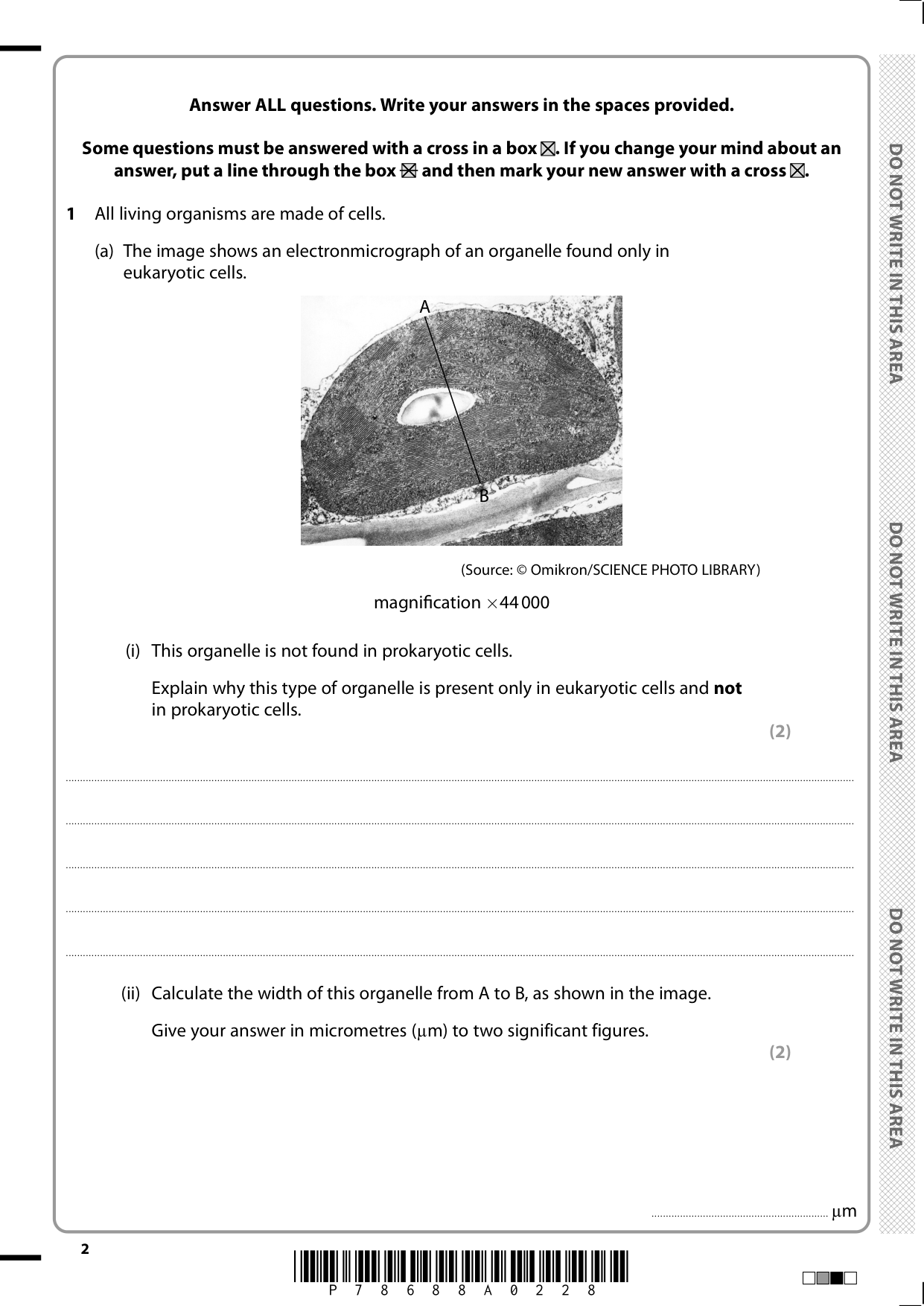 Pearson Edexcel AS Biology  Paper 2 2025 Question Paper
