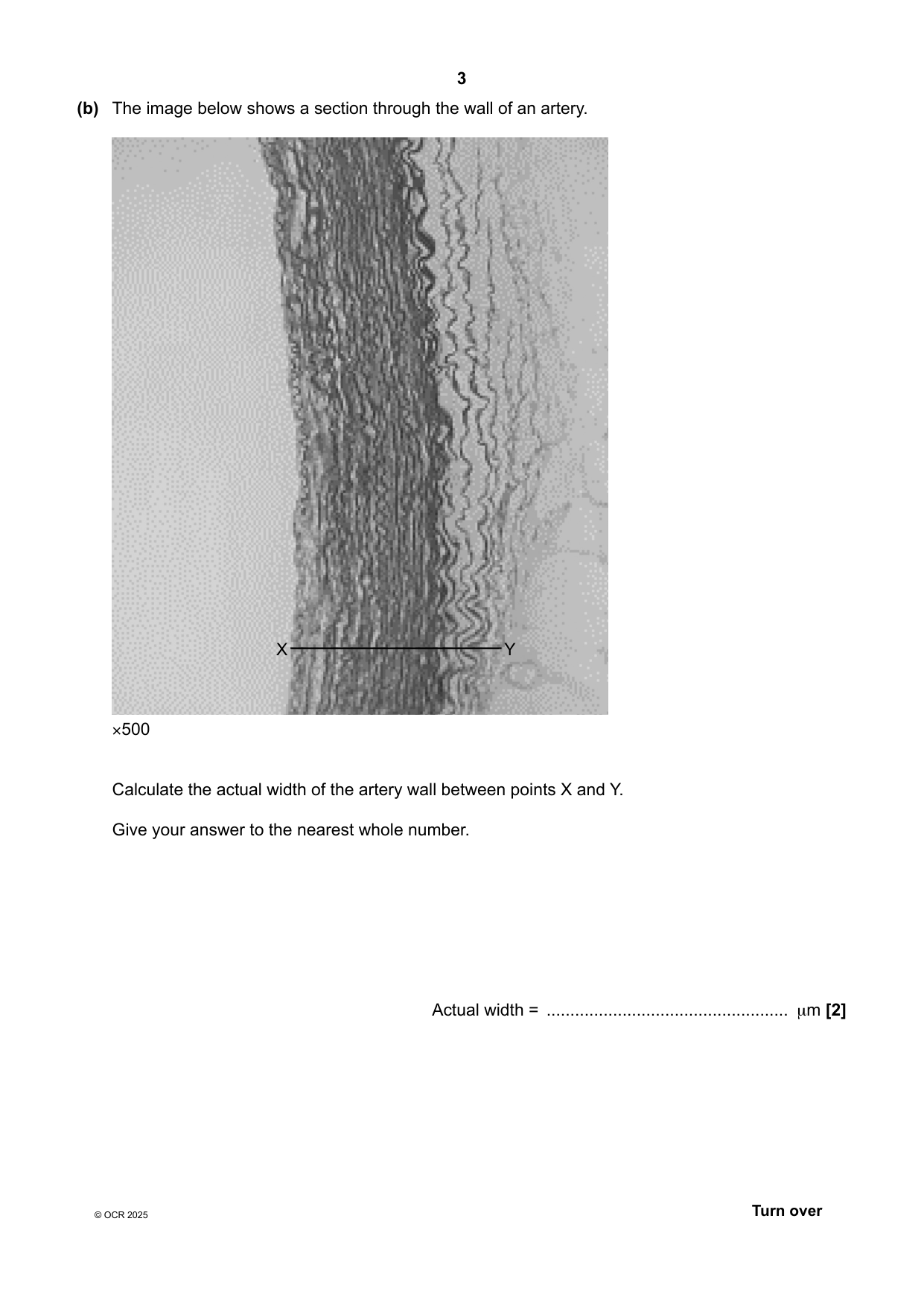 OCR AS Biology B Paper 2 2025 Question Paper PDF IMG-3
