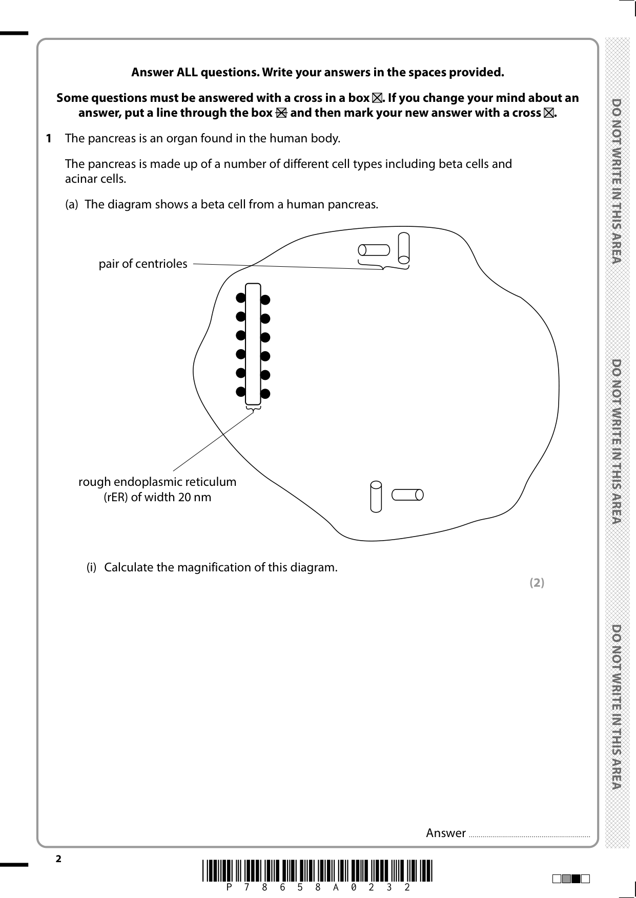 Pearson Edexcel A Level Biology Paper 2 2025 Question Paper