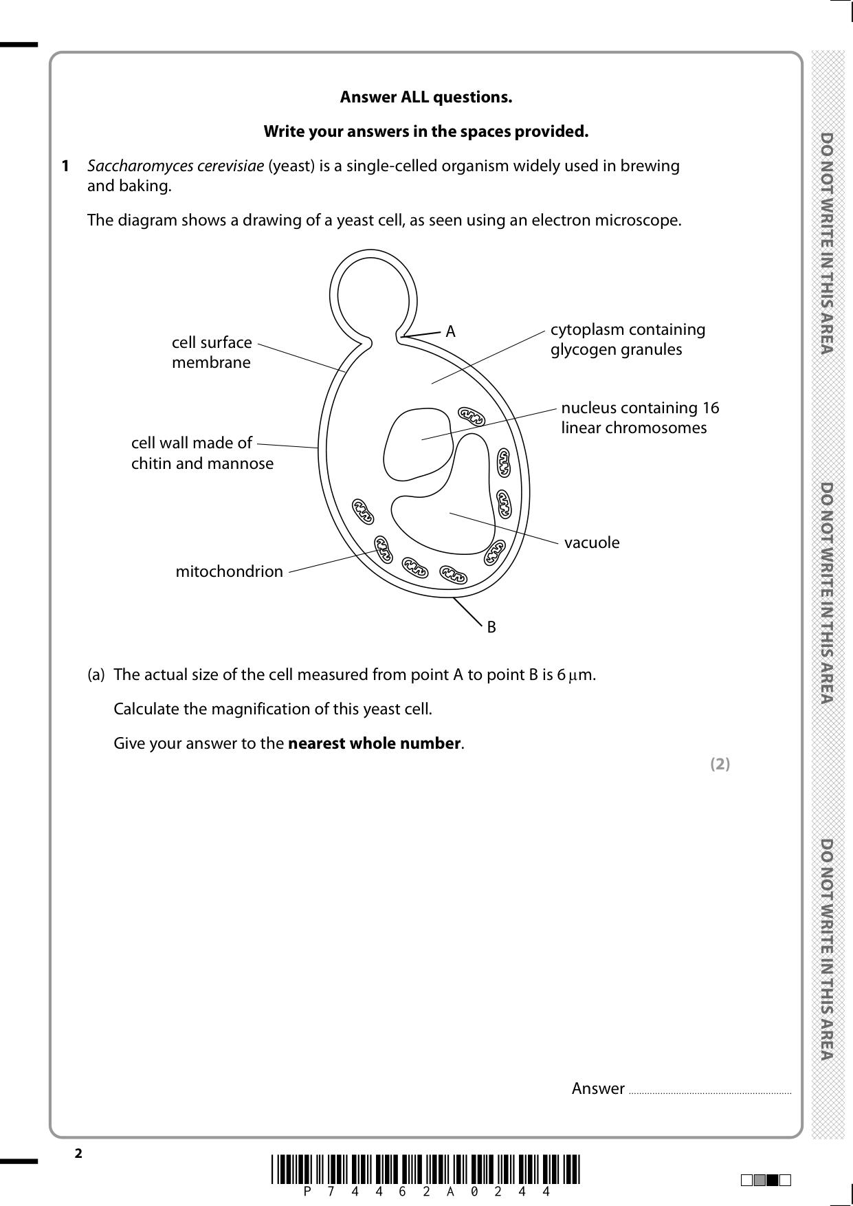 Pearson Edexcel A Level Biology B Paper 3 2025 QP