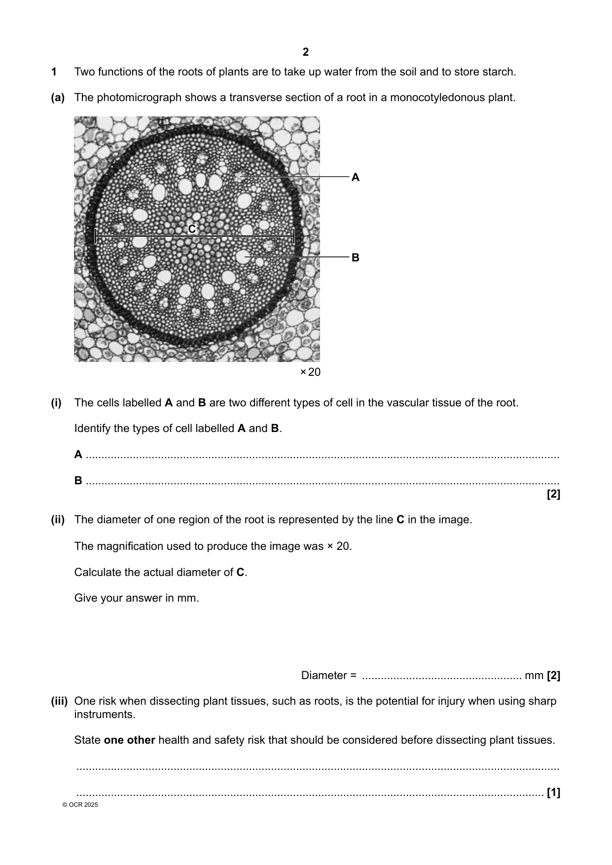 OCR A Level Biology B Paper 3 2025 Question Paper