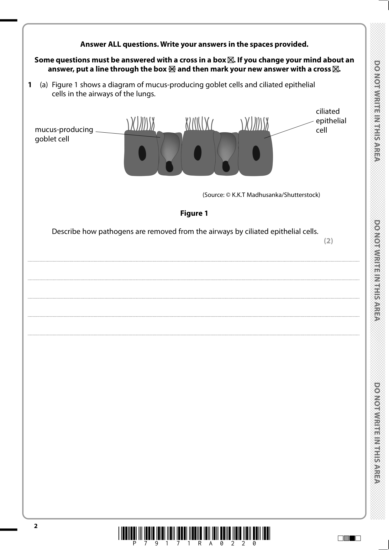 Pearson Edexcel GCSE Combined Science Paper 4 H 2025