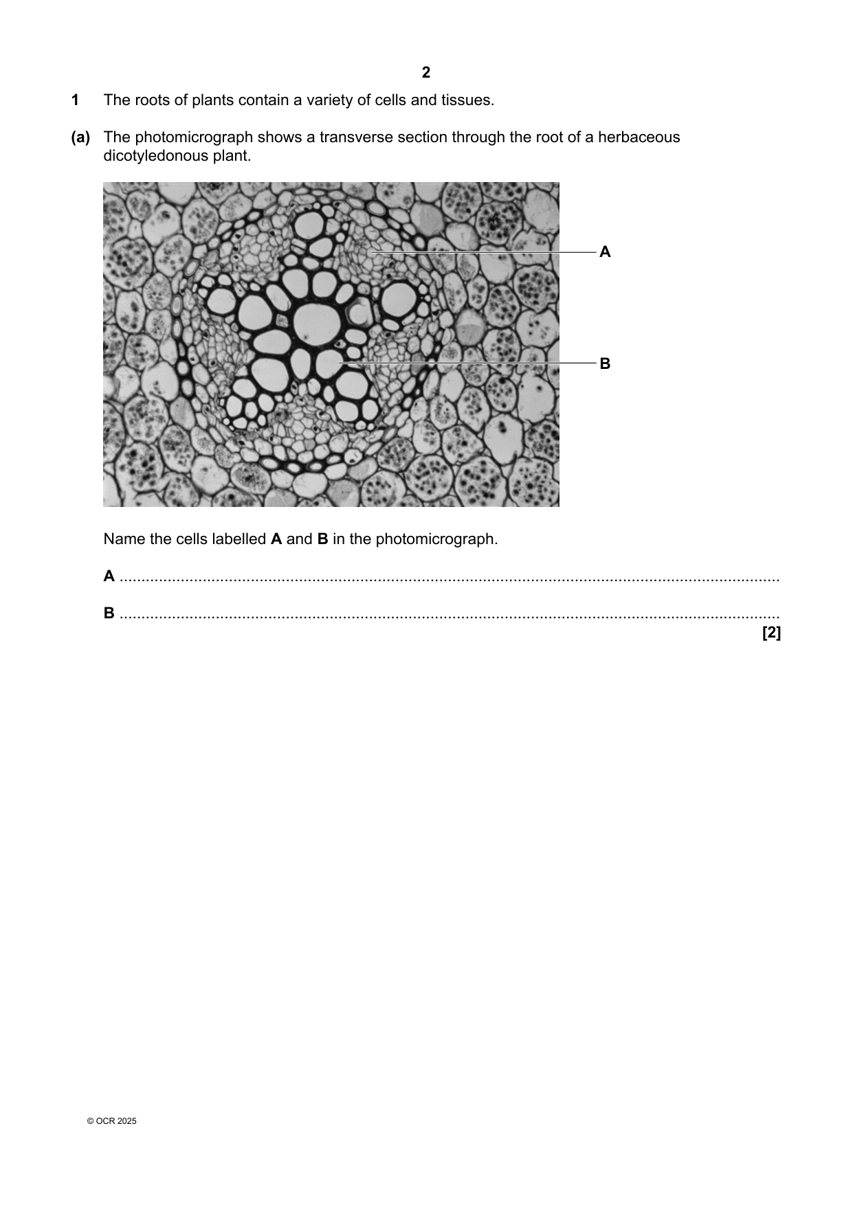 OCR A Level Biology A Paper 3 2025 Question Paper
