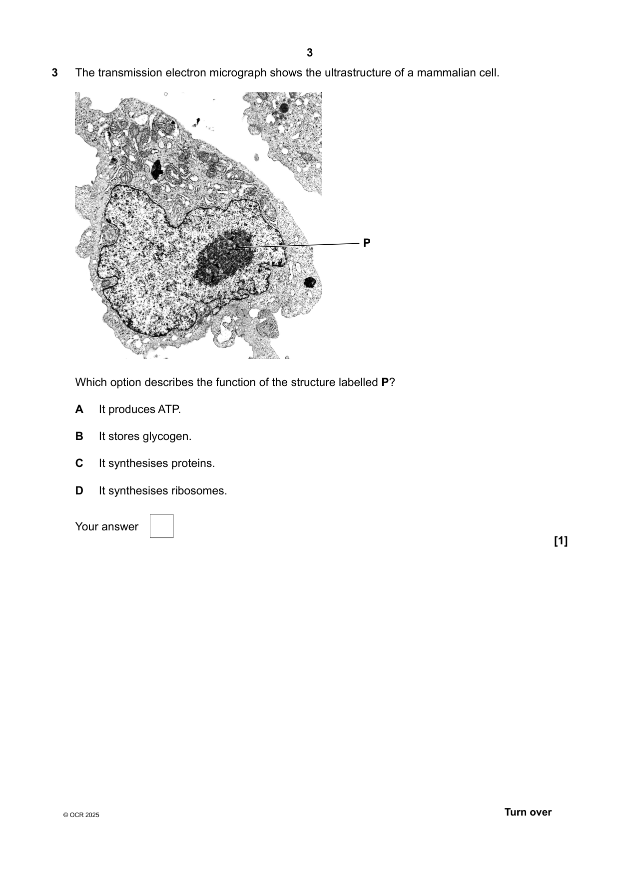 OCR AS Biology B Paper 1 2025 Question Paper PDF IMG-3