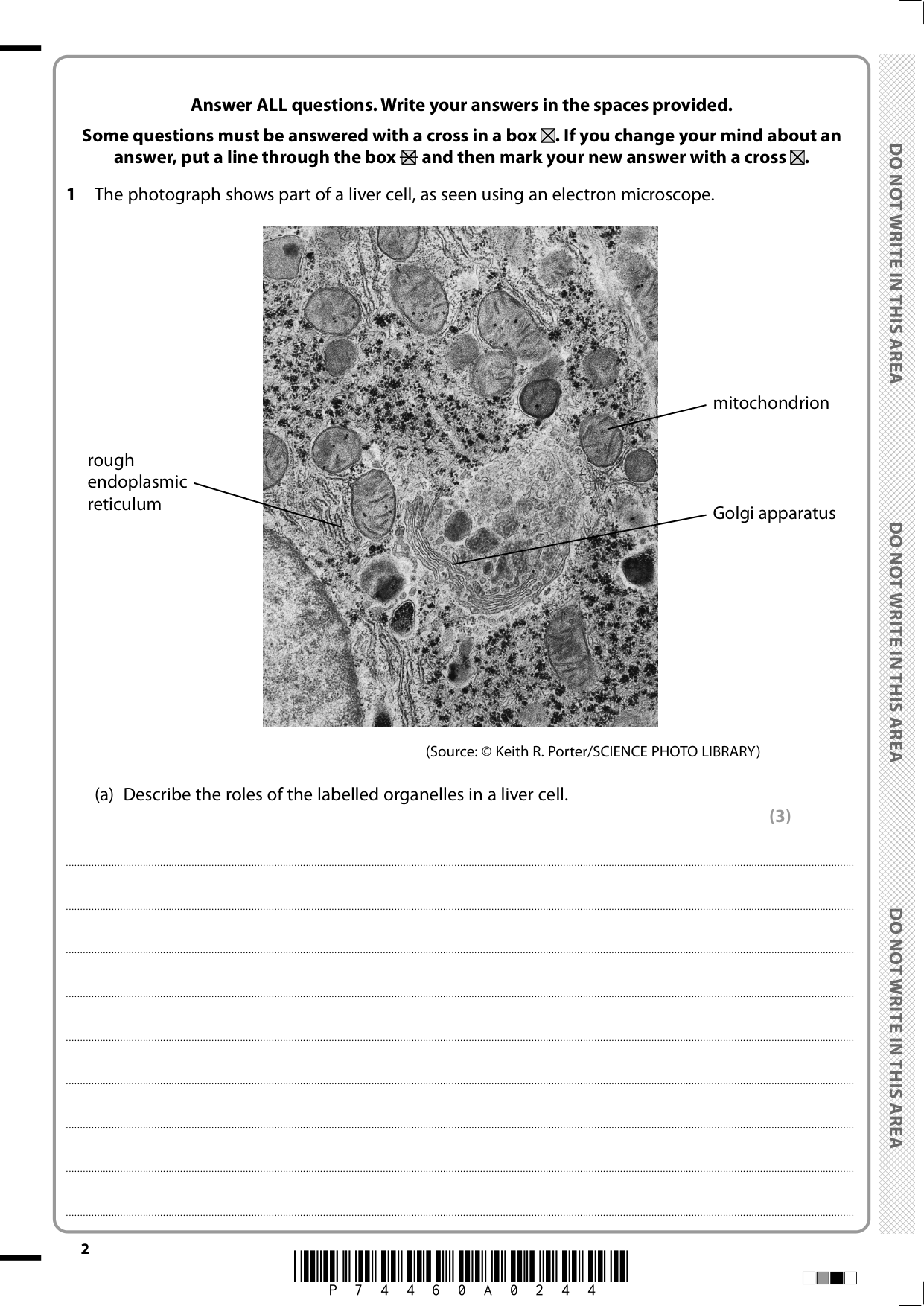 Pearson Edexcel A Level Biology B Paper 2 2025 QP